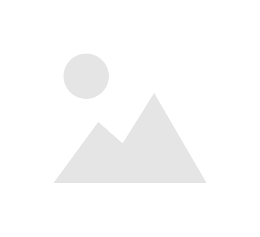 Banjo Pick